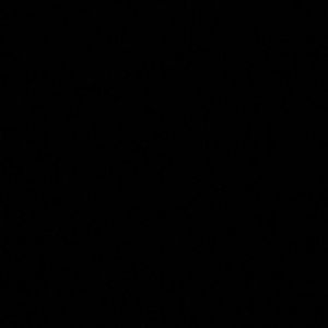 Meet your Posher, Alijah